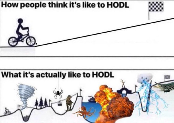 HODL meme showing the difference between the expected path and the chaotic reality.